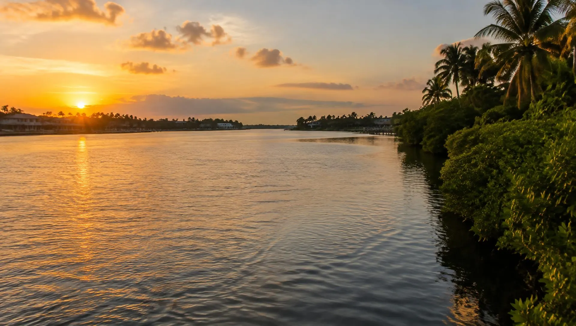 Wide Florida river at golden hour with palms and mangroves along the shore