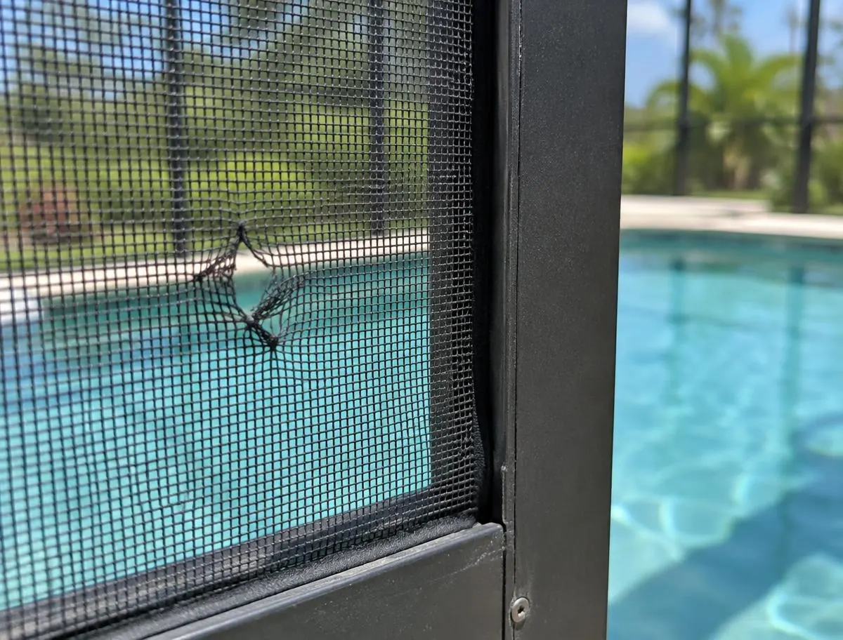 Close view of a torn screen panel on a pool enclosure frame